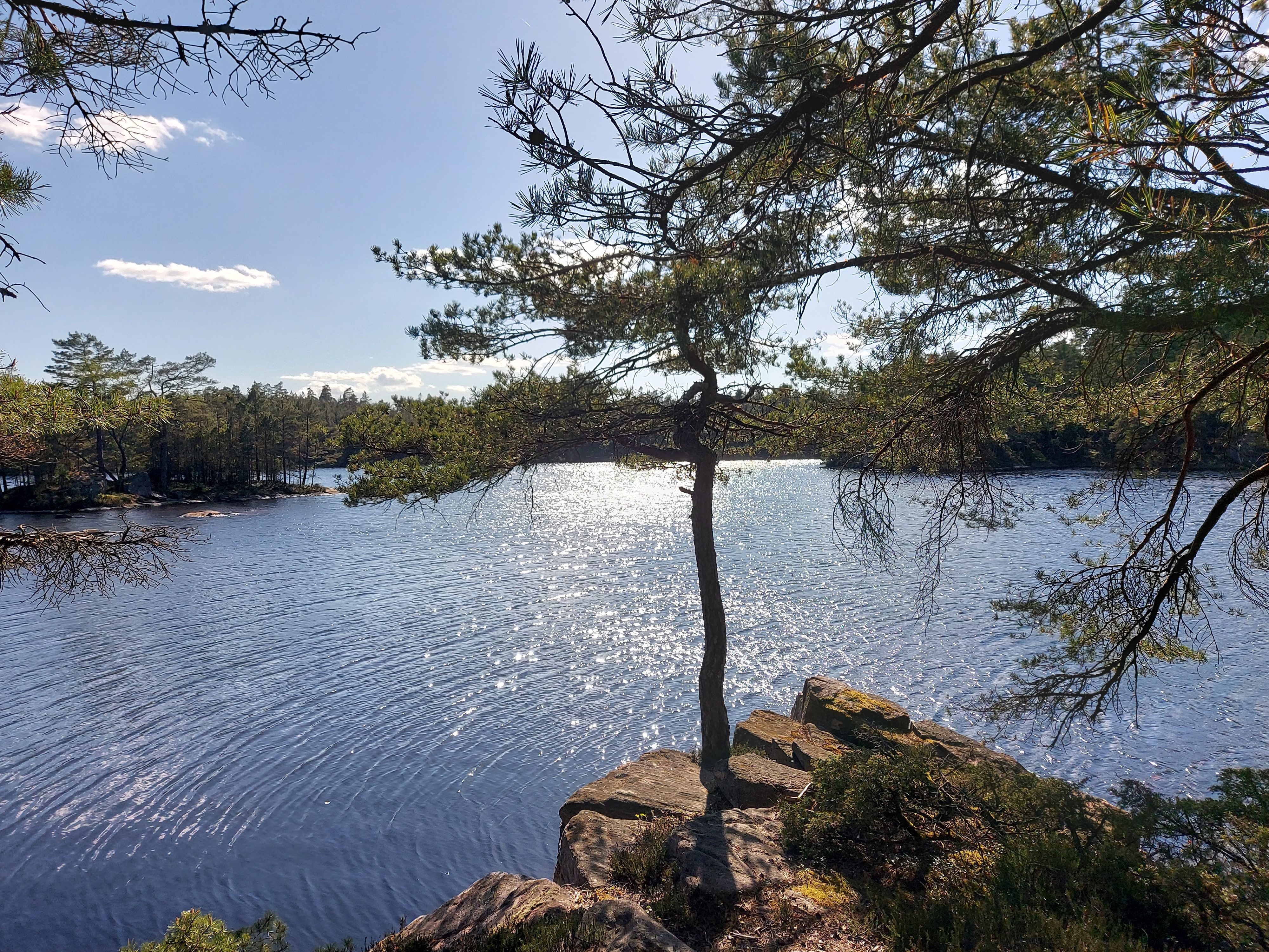 Vandring Risveden