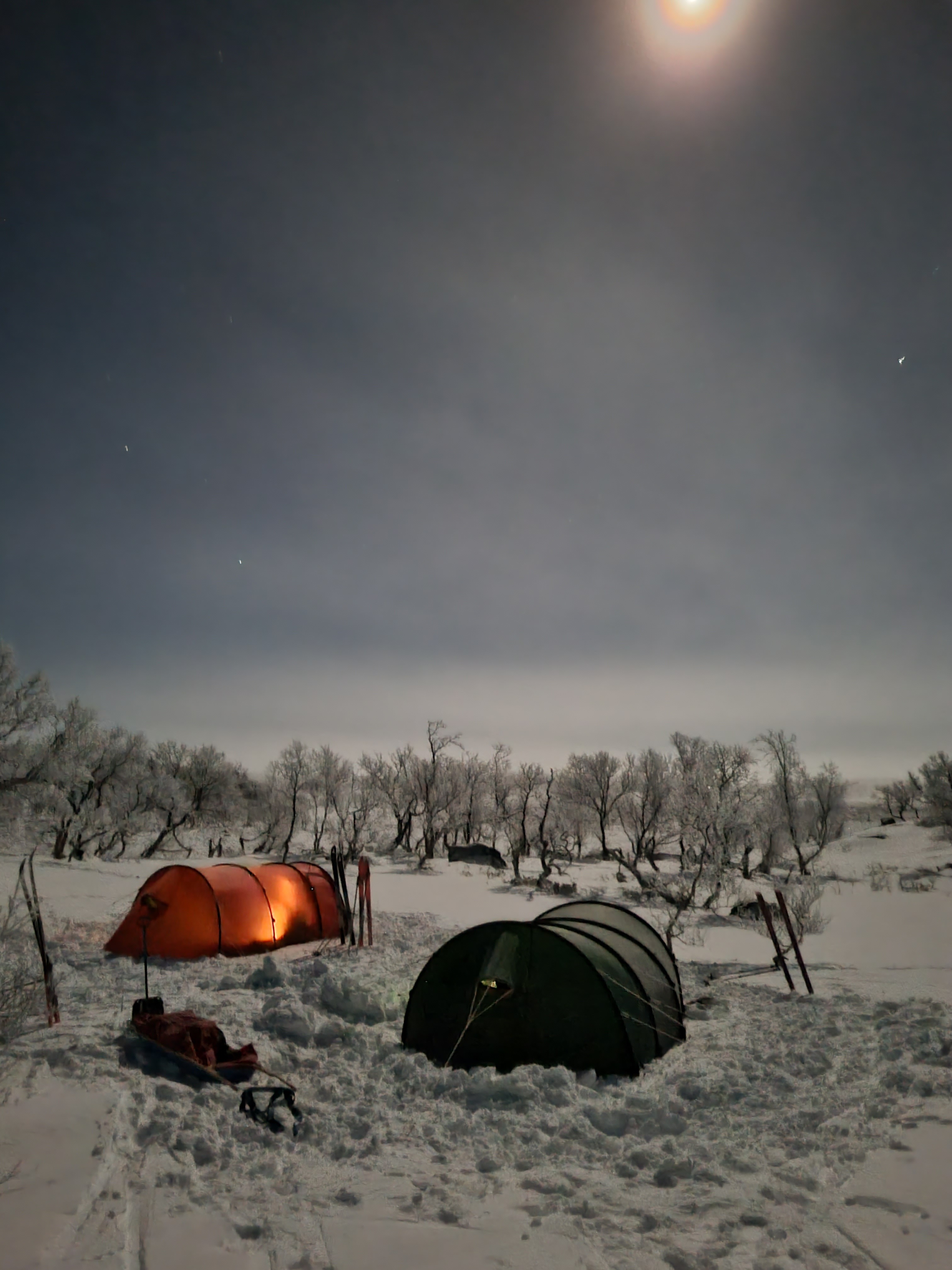 Månskenstur i Oviksfjällen