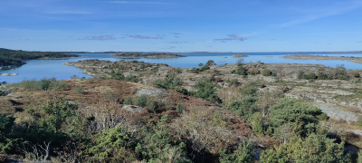 Vandring Bronsålderssundet-Lilleby-Torslanda